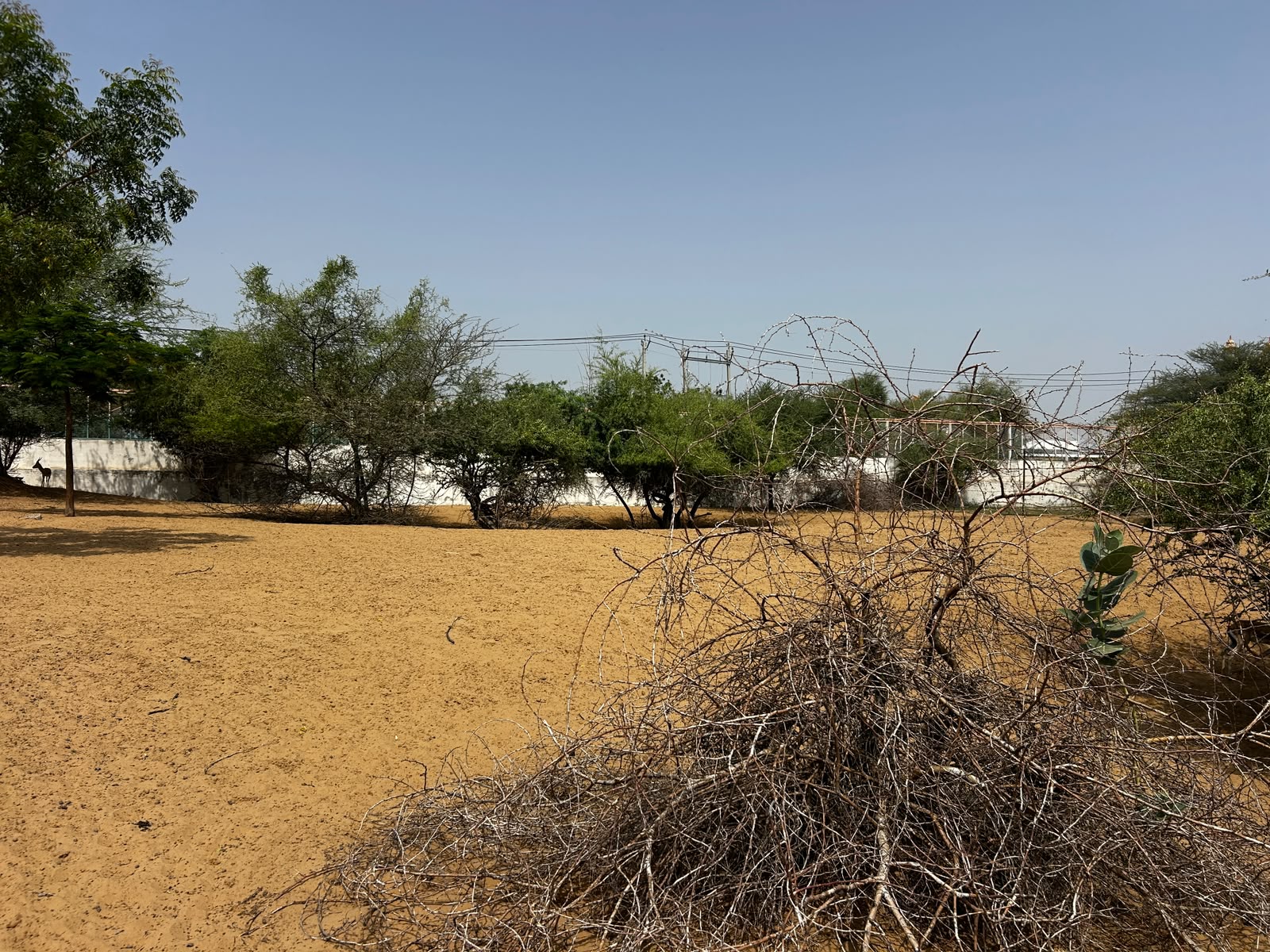 Proposed plantation land — boundary of the project site