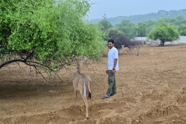 Plantation Drive - Photo 1