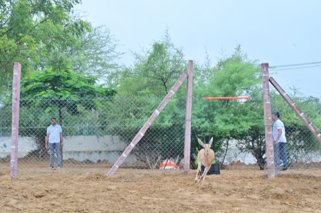Plantation Drive - Photo 3