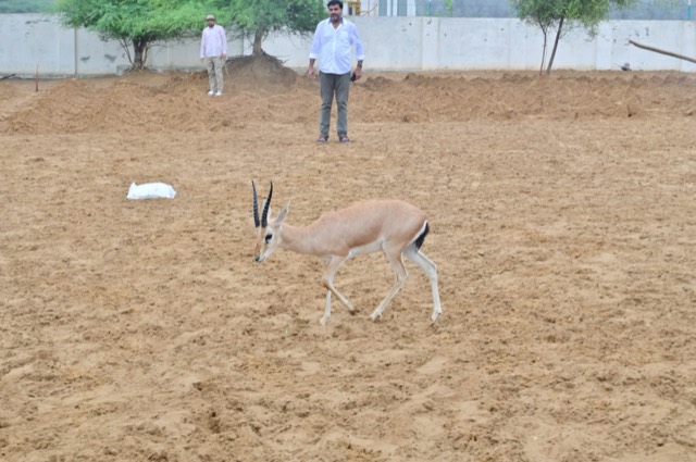 Plantation Drive - Photo 4