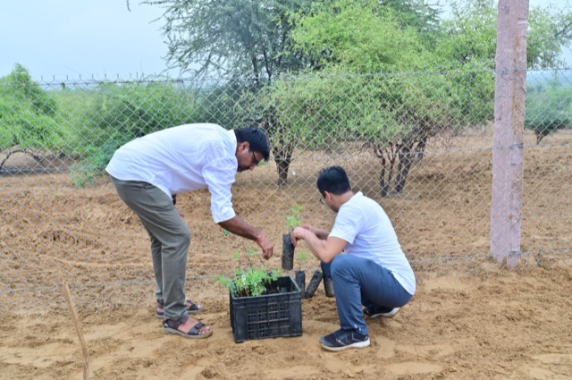 Plantation Drive - Photo 12