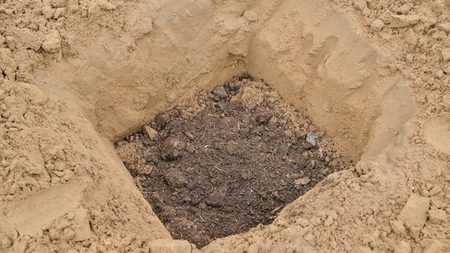Plantation Drive - Photo 22