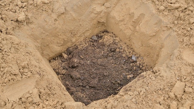 Plantation Drive - Photo 23