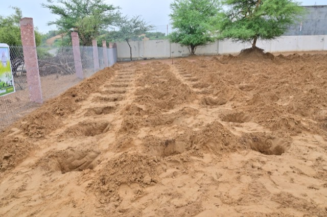 Plantation Drive - Photo 26