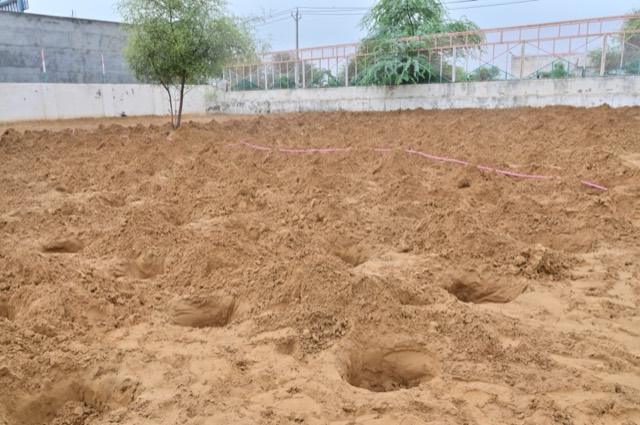 Plantation Drive - Photo 27