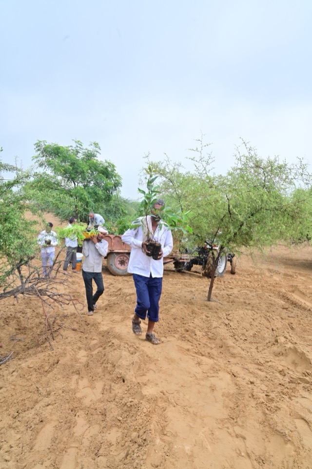 Plantation Drive - Photo 30