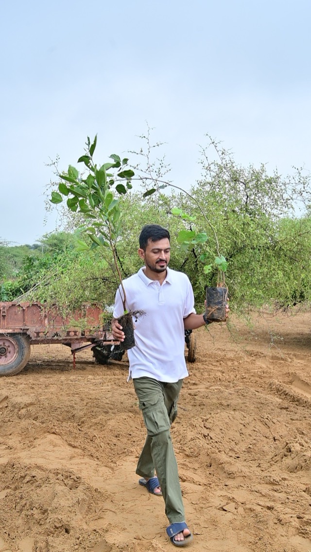 Plantation Drive - Photo 31