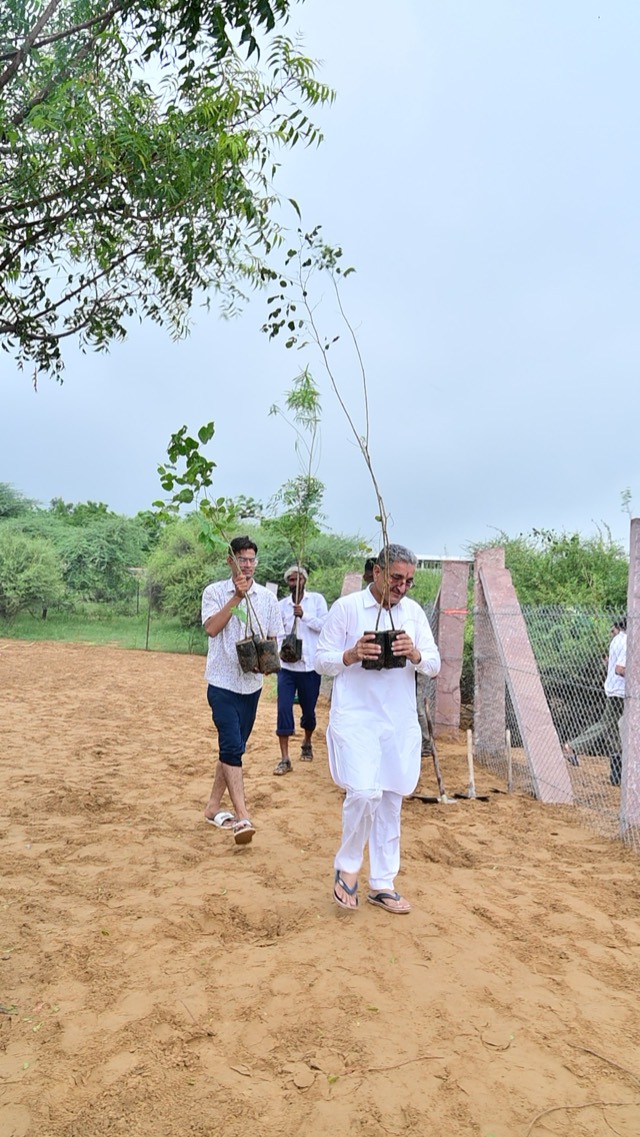 Plantation Drive - Photo 32