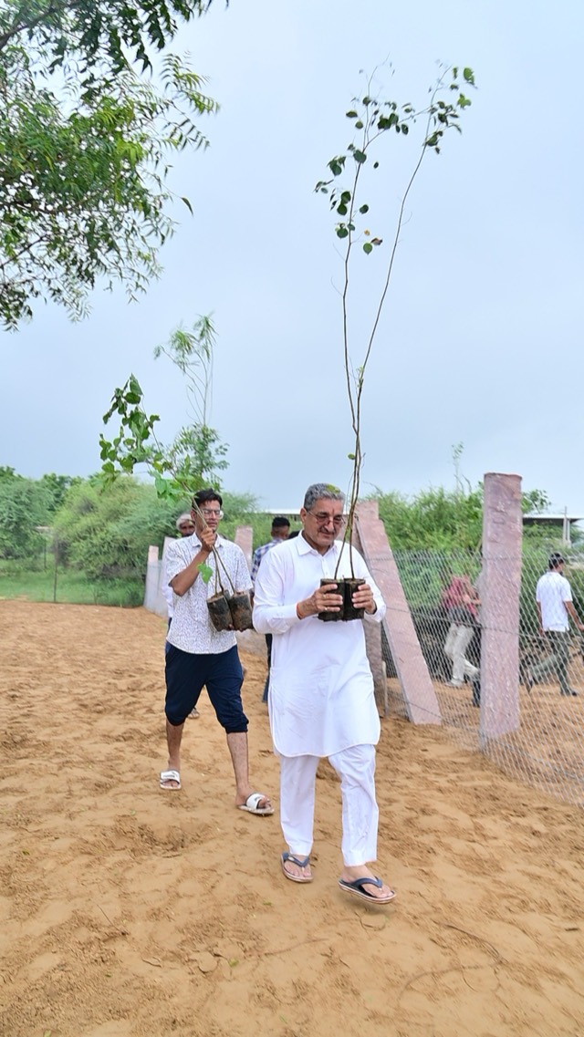 Plantation Drive - Photo 33