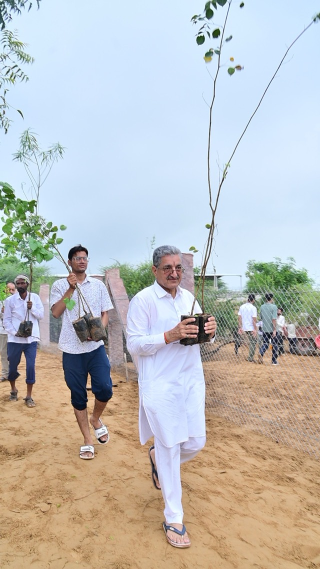 Plantation Drive - Photo 34