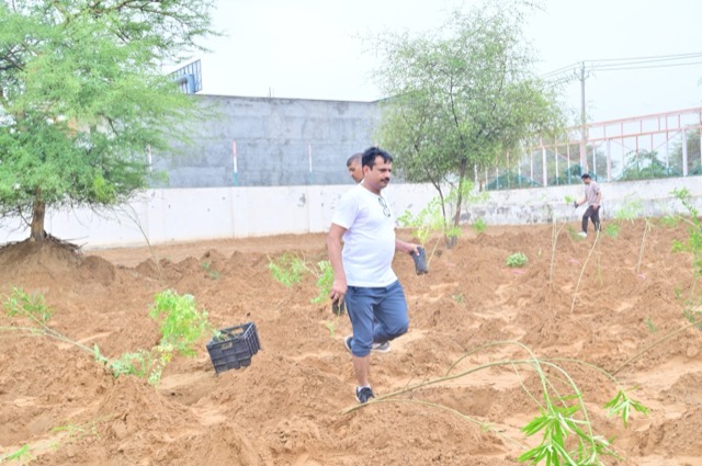 Plantation Drive - Photo 38