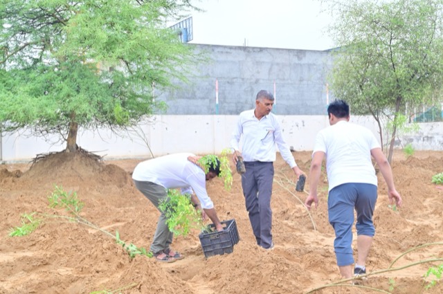 Plantation Drive - Photo 39
