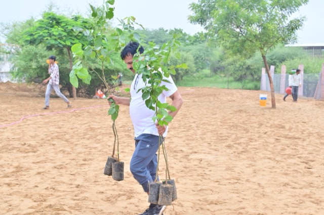 Plantation Drive - Photo 41