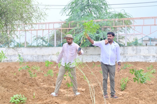 Plantation Drive - Photo 43