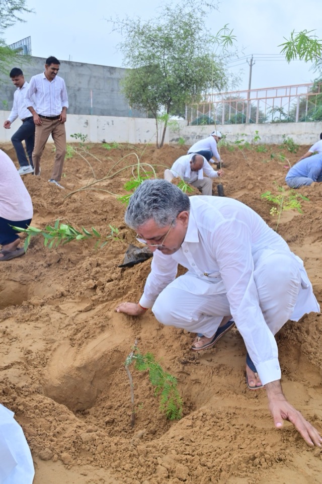 Plantation Drive - Photo 61
