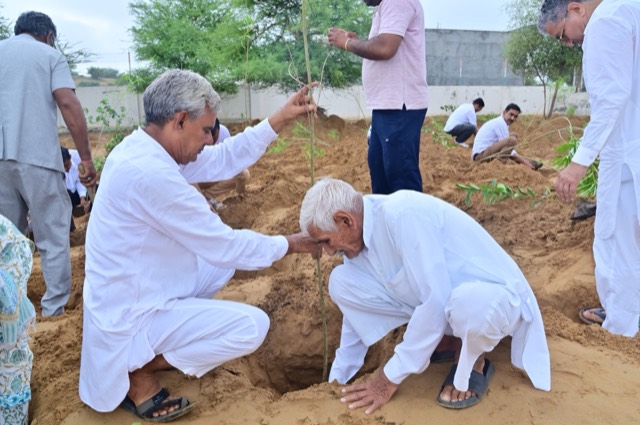 Plantation Drive - Photo 62