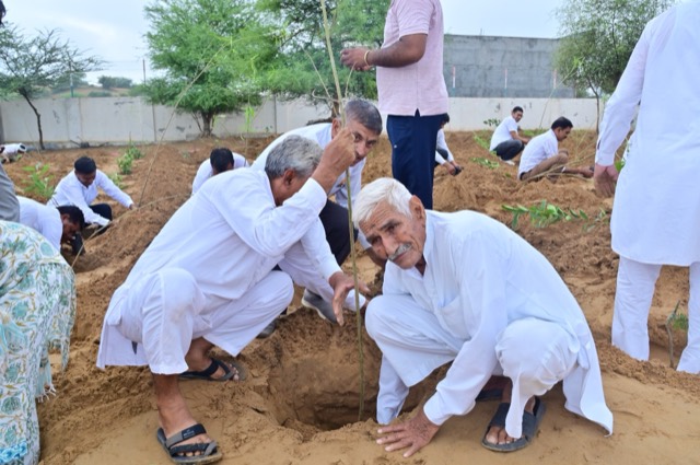Plantation Drive - Photo 63