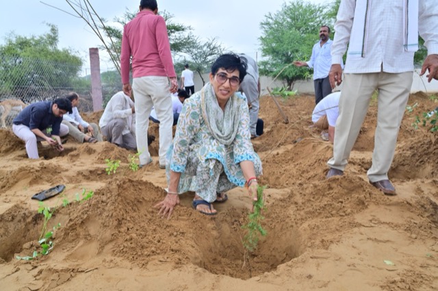 Plantation Drive - Photo 65