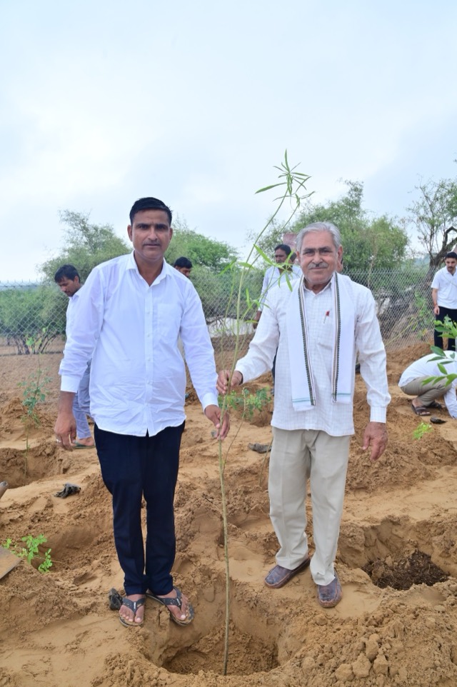Plantation Drive - Photo 69