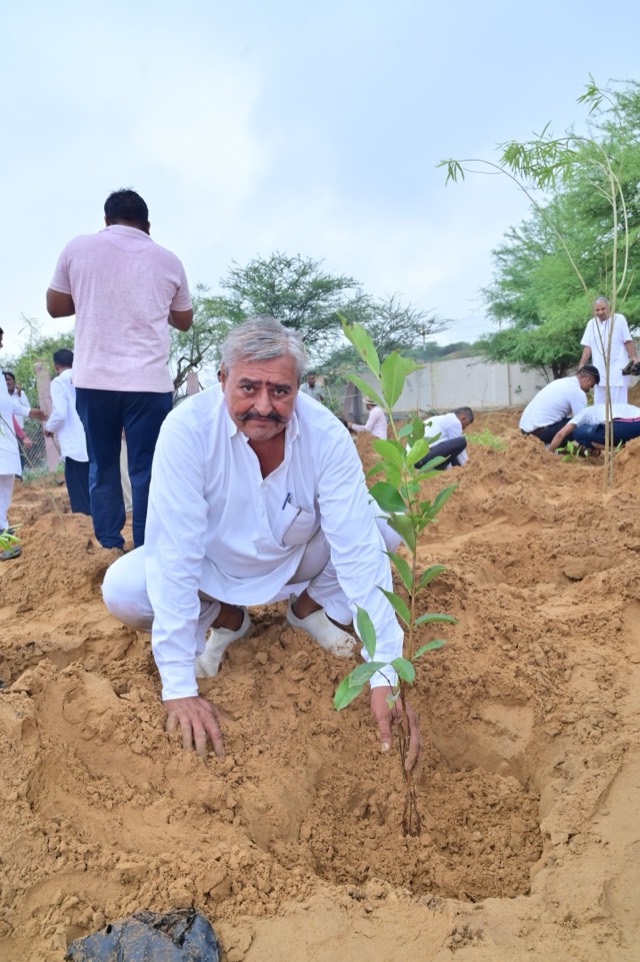 Plantation Drive - Photo 71