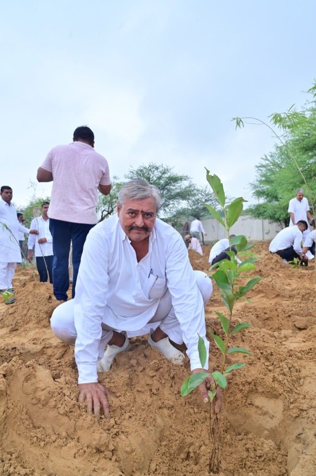 Plantation Drive - Photo 72