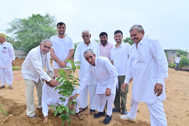 Plantation Drive - Photo 73