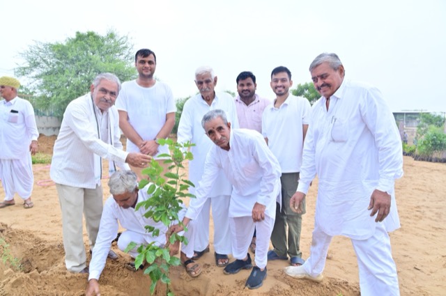 Plantation Drive - Photo 74