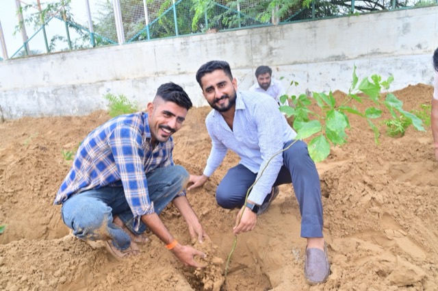 Plantation Drive - Photo 83