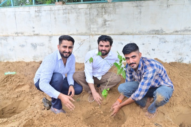 Plantation Drive - Photo 85