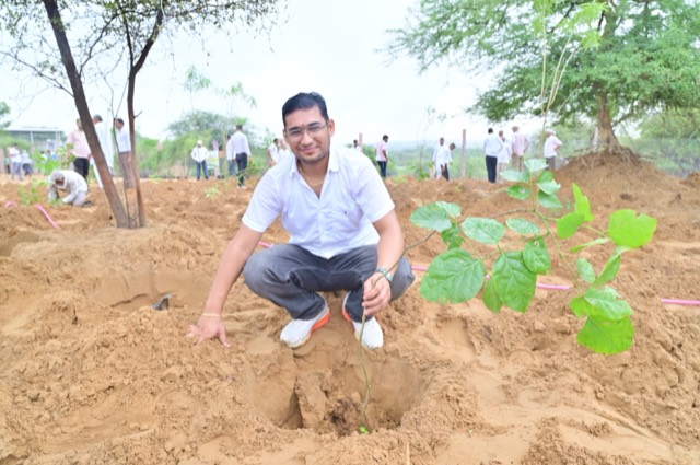 Plantation Drive - Photo 91