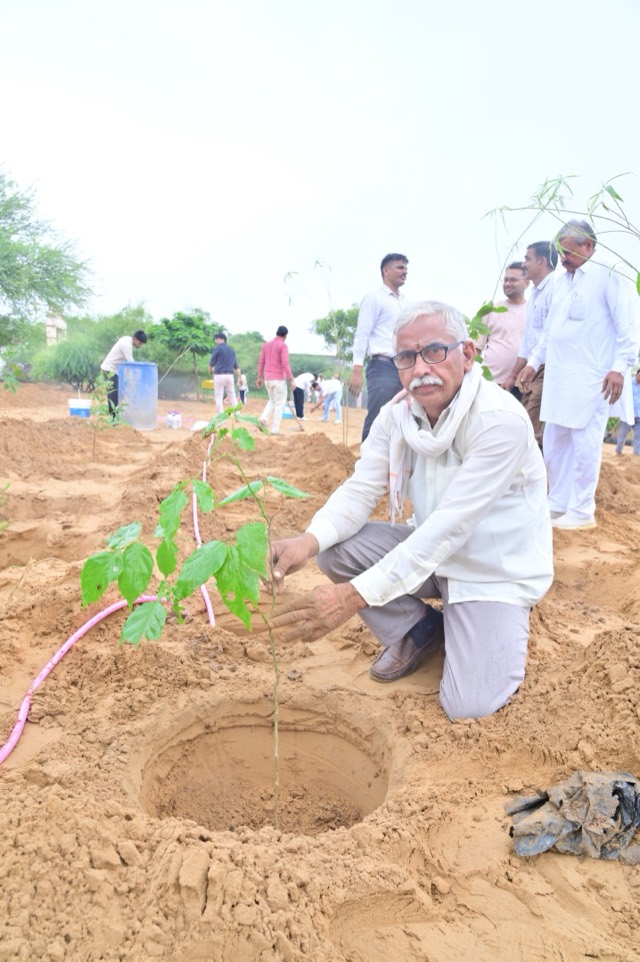 Plantation Drive - Photo 93