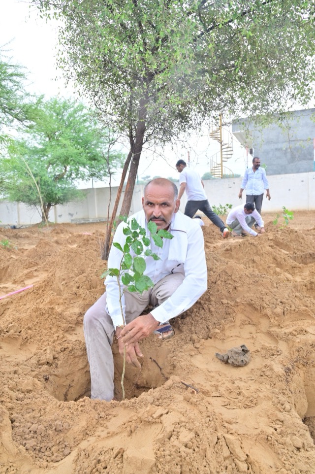 Plantation Drive - Photo 95