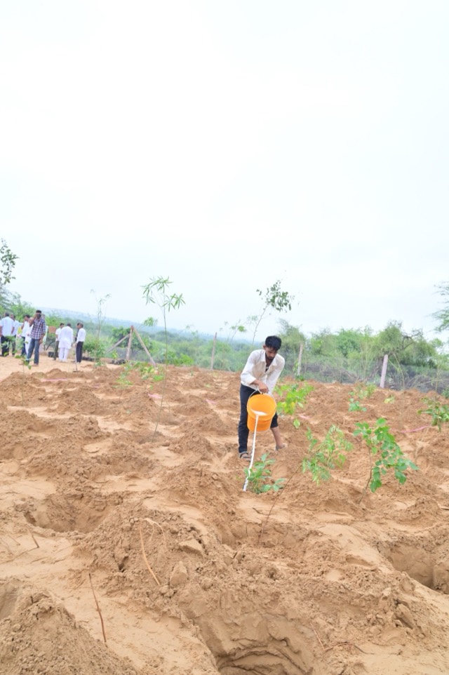 Plantation Drive - Photo 110