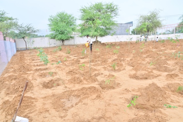 Plantation Drive - Photo 119