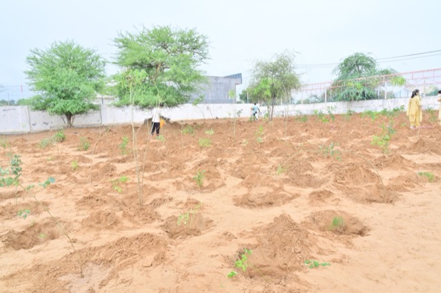 Plantation Drive - Photo 120