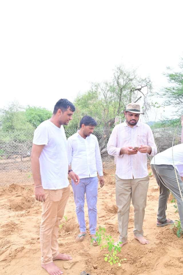 Plantation Drive - Photo 134