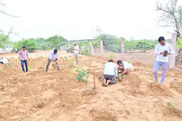 Plantation Drive - Photo 135