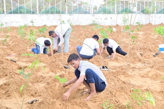 Plantation Drive - Photo 136