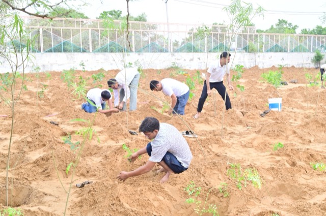 Plantation Drive - Photo 137