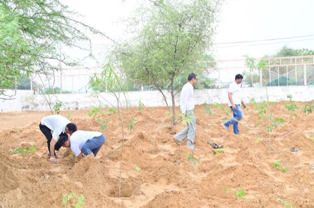 Plantation Drive - Photo 138