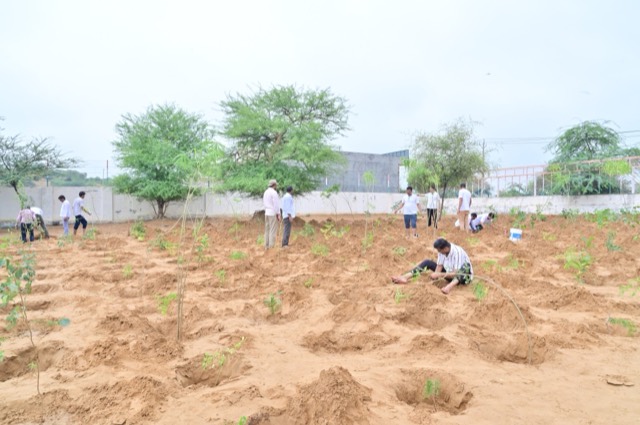 Plantation Drive - Photo 139