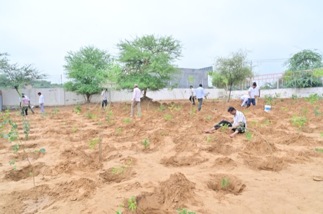 Plantation Drive - Photo 140