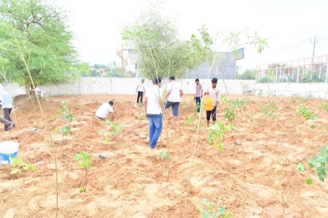 Plantation Drive - Photo 148