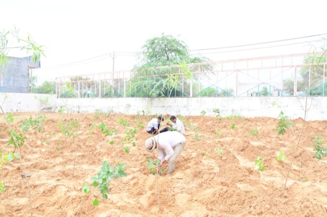 Plantation Drive - Photo 149