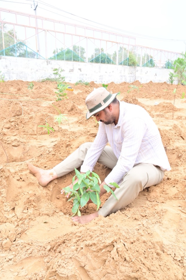 Plantation Drive - Photo 150