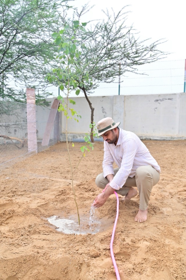 Plantation Drive - Photo 153