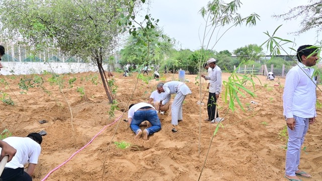 Plantation Drive - Photo 155