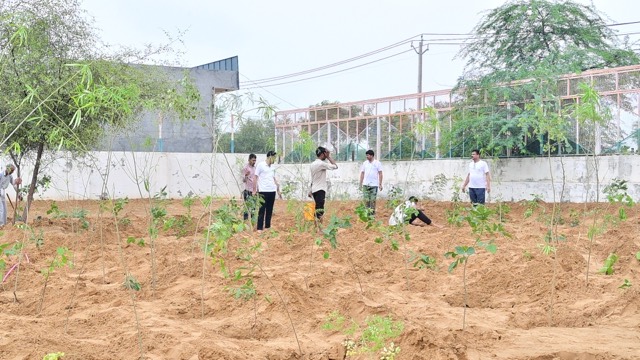 Plantation Drive - Photo 156