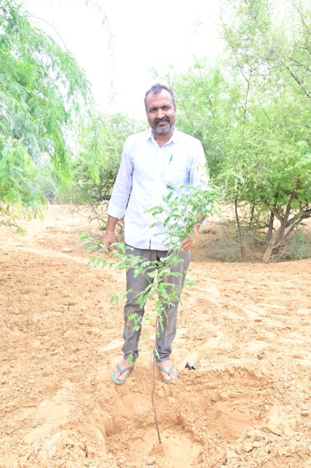 Plantation Drive - Photo 163