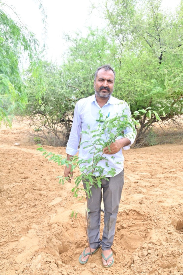 Plantation Drive - Photo 164